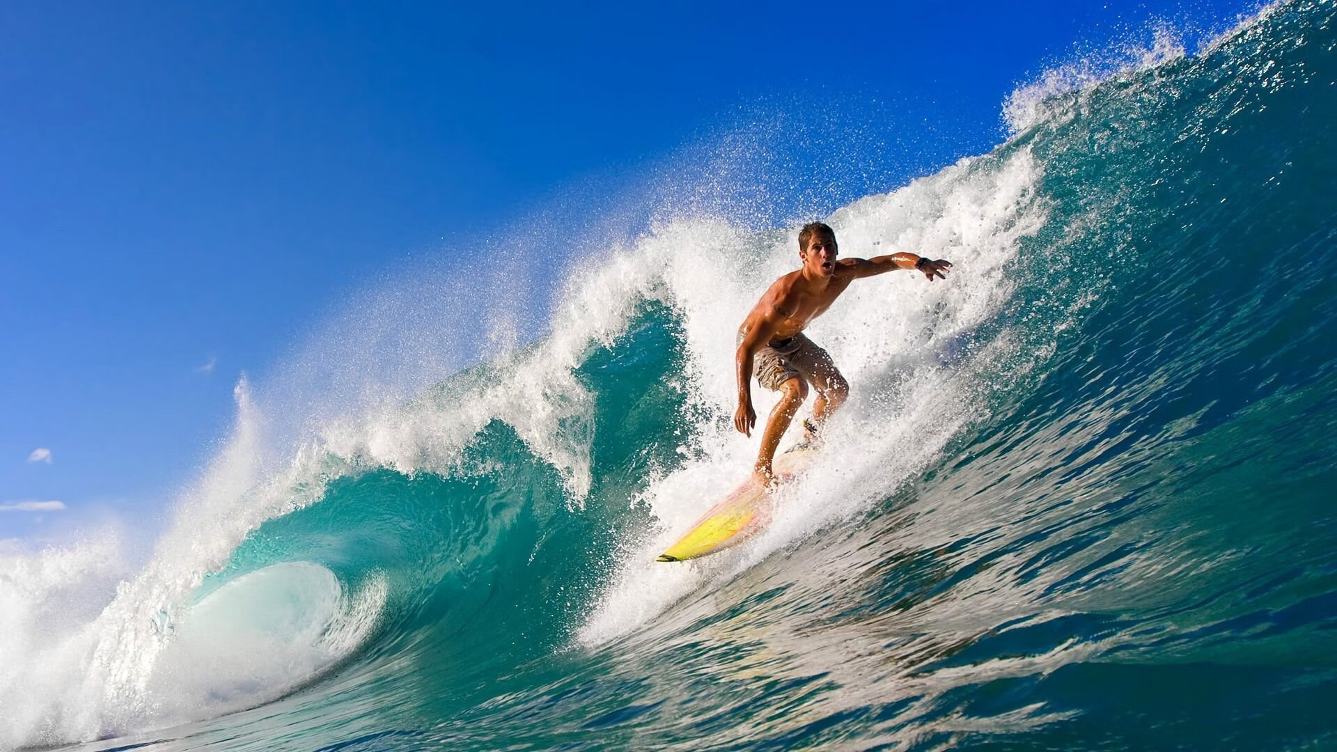 国家队选拔机制公平性讨论，国家队选拔赛